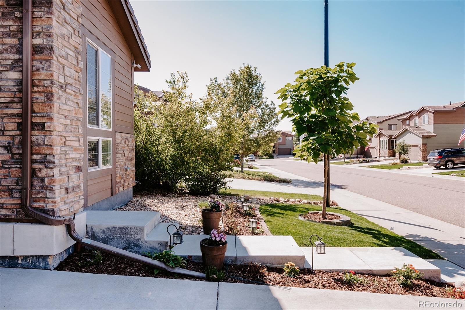 MLS Image #2 for 10939  touchstone loop,parker, Colorado
