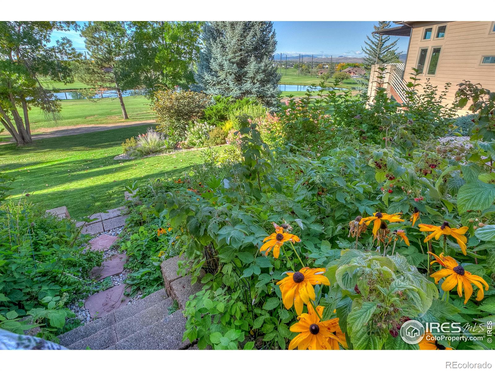 MLS Image #3 for 1409  glen eagle court,fort collins, Colorado