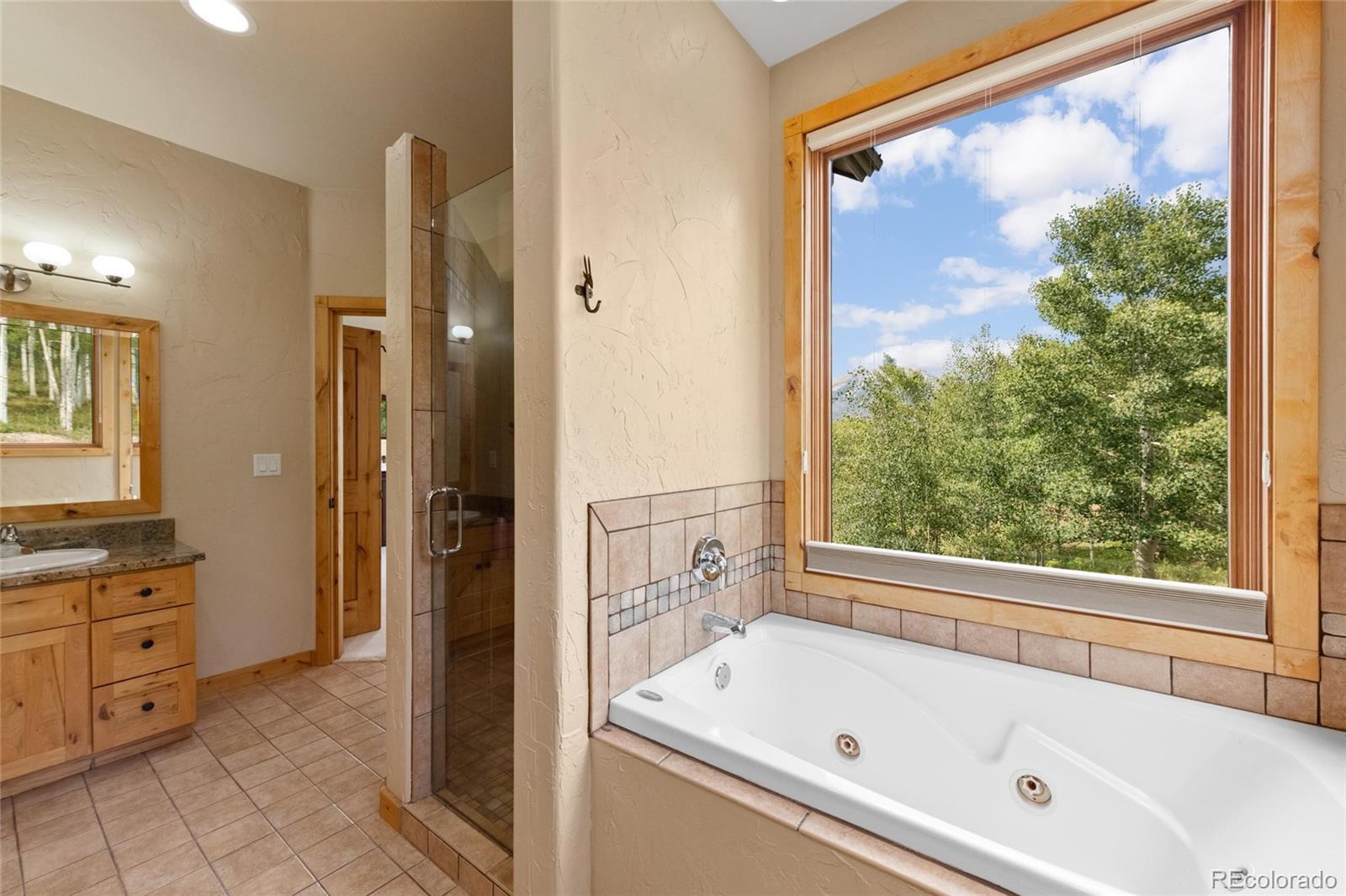 MLS Image #21 for 817  ptarmigan trail,silverthorne, Colorado
