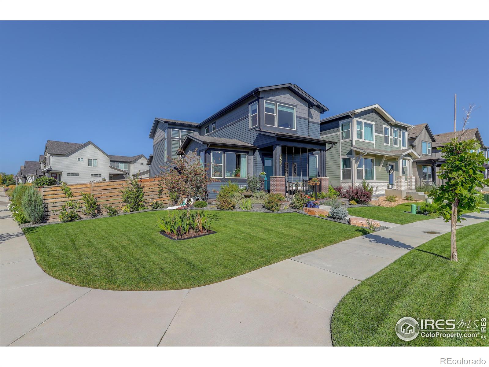 Report Image for 4893  Oakley Drive,Timnath, Colorado