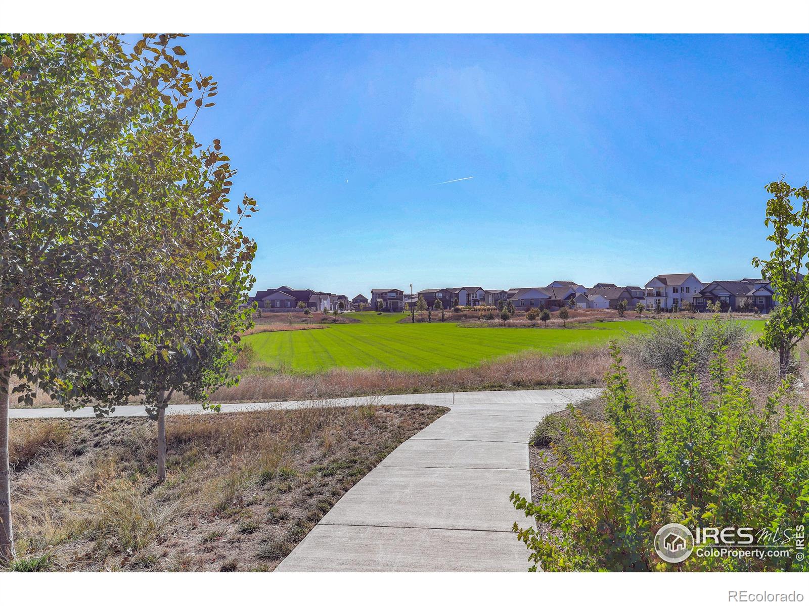 MLS Image #34 for 4893  oakley drive,timnath, Colorado