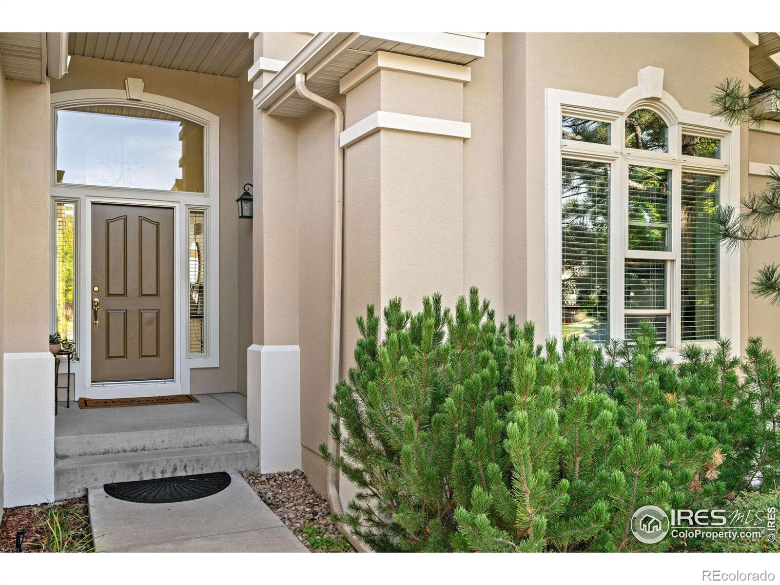MLS Image #3 for 14090  turnberry court,broomfield, Colorado