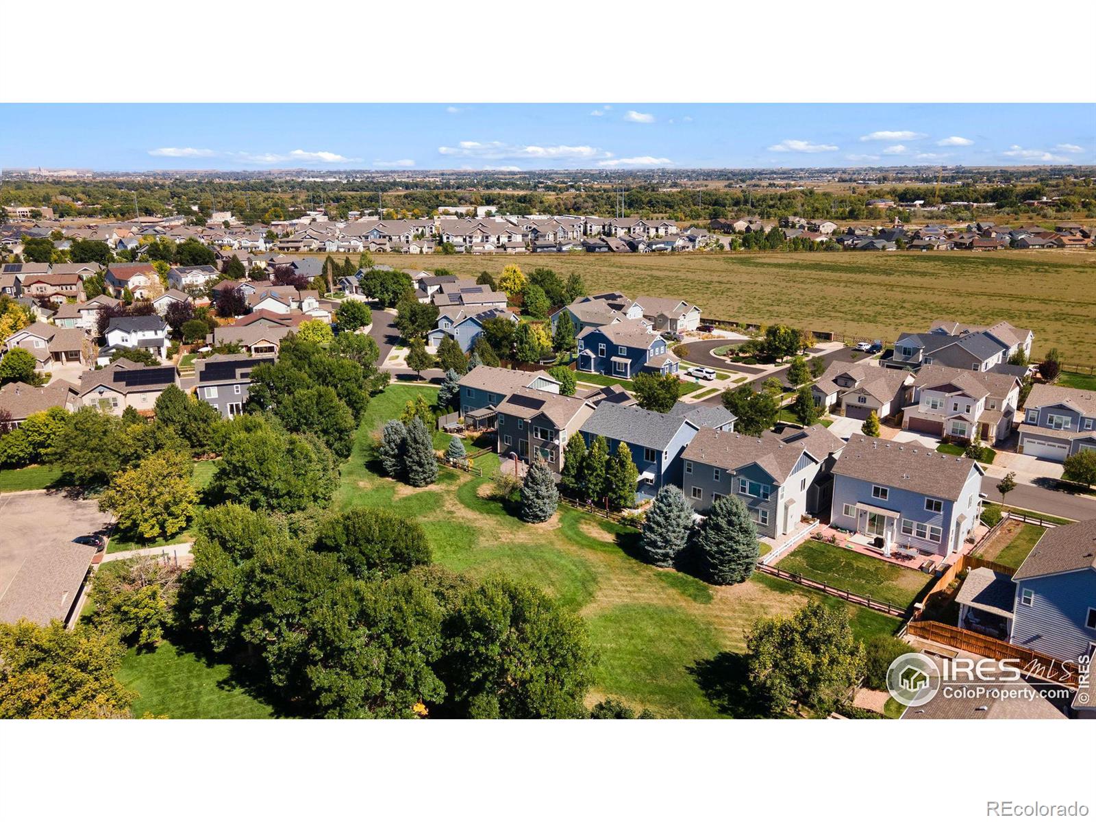 MLS Image #24 for 2503  iowa drive,fort collins, Colorado