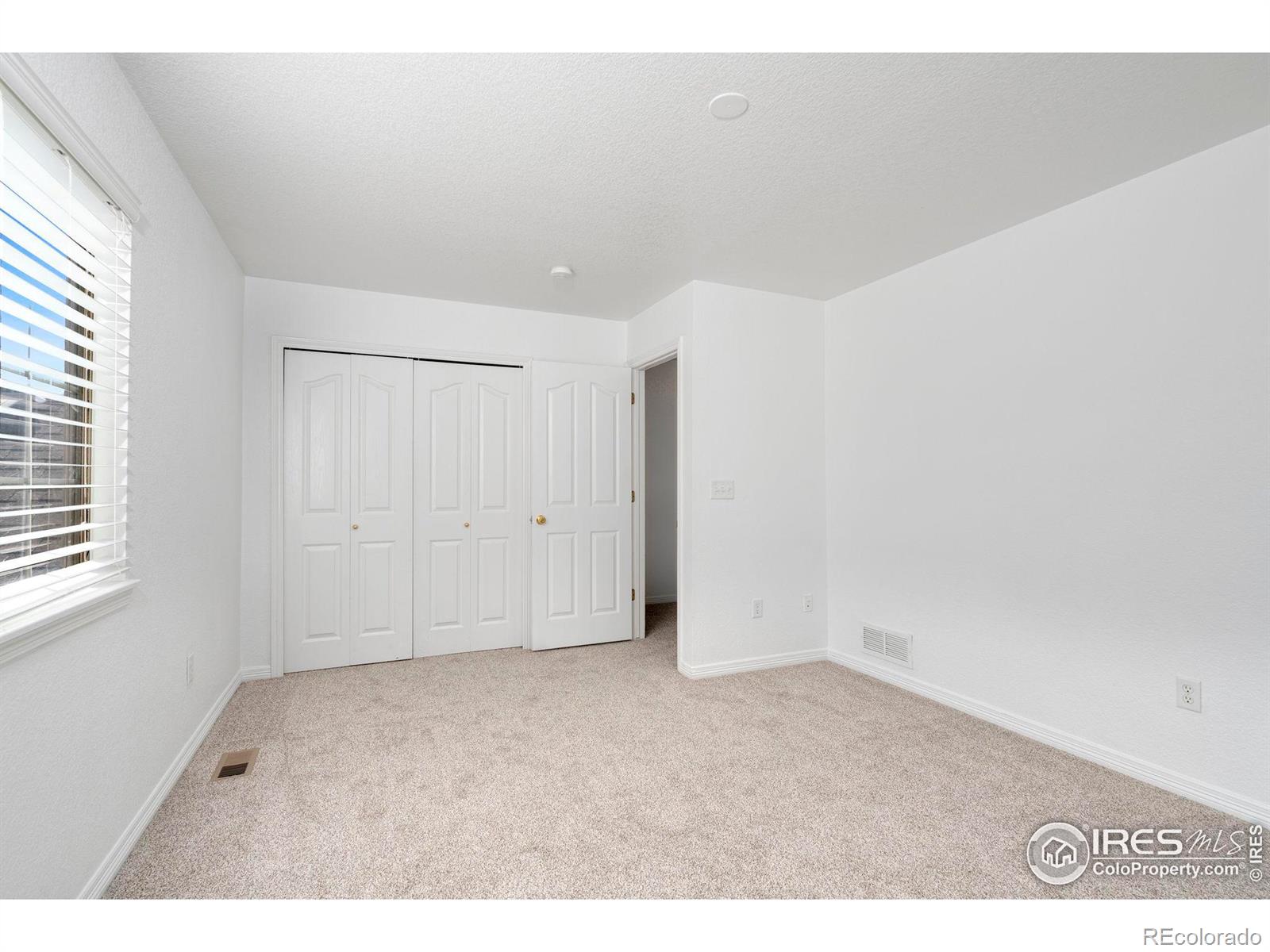 MLS Image #18 for 1014  andrews peak drive,fort collins, Colorado