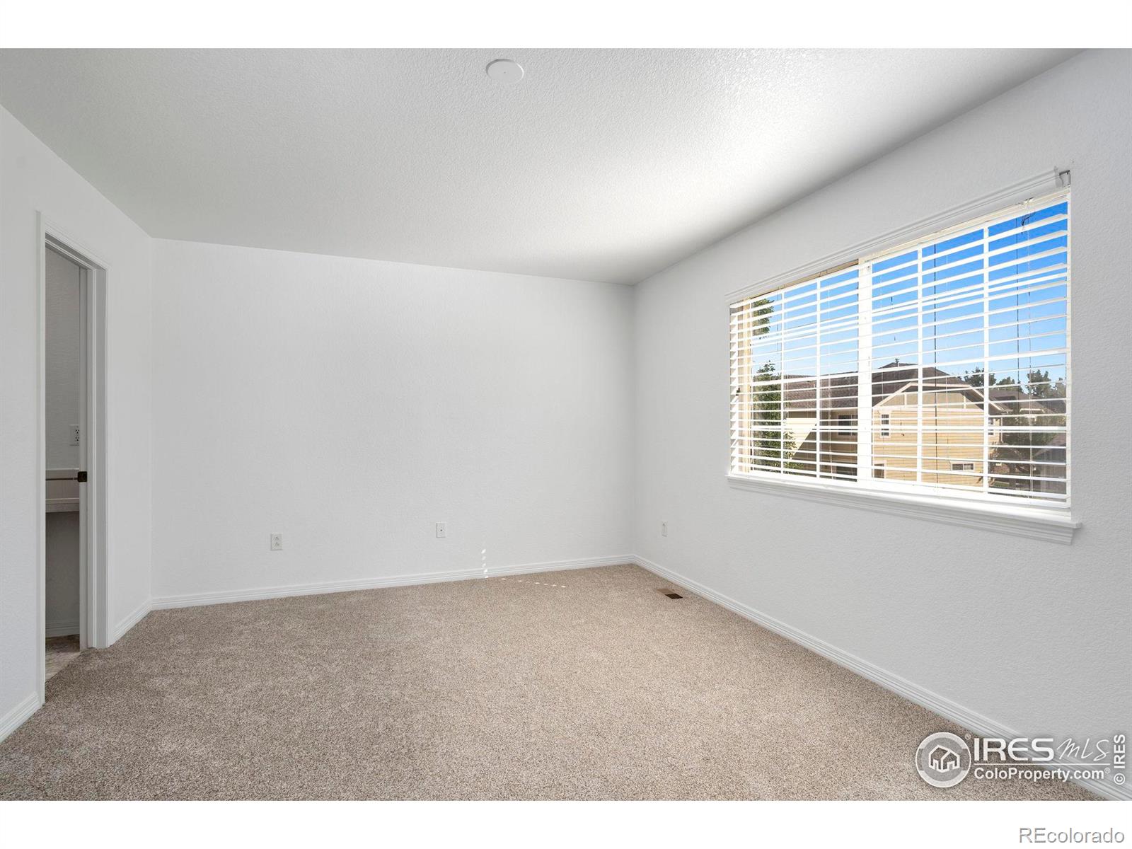 MLS Image #19 for 1014  andrews peak drive,fort collins, Colorado