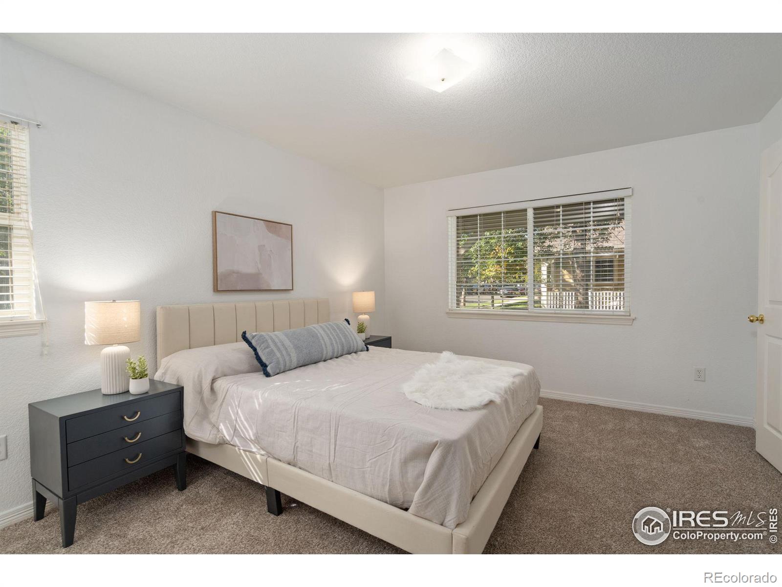 MLS Image #12 for 1014  andrews peak drive,fort collins, Colorado