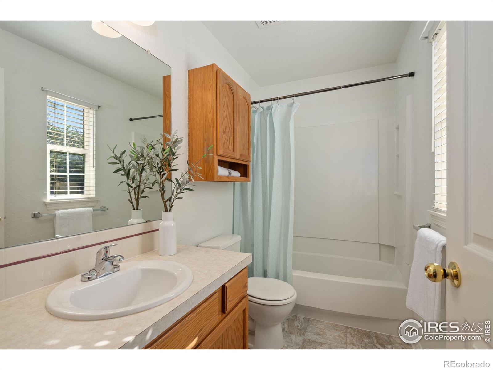 MLS Image #14 for 1014  andrews peak drive,fort collins, Colorado