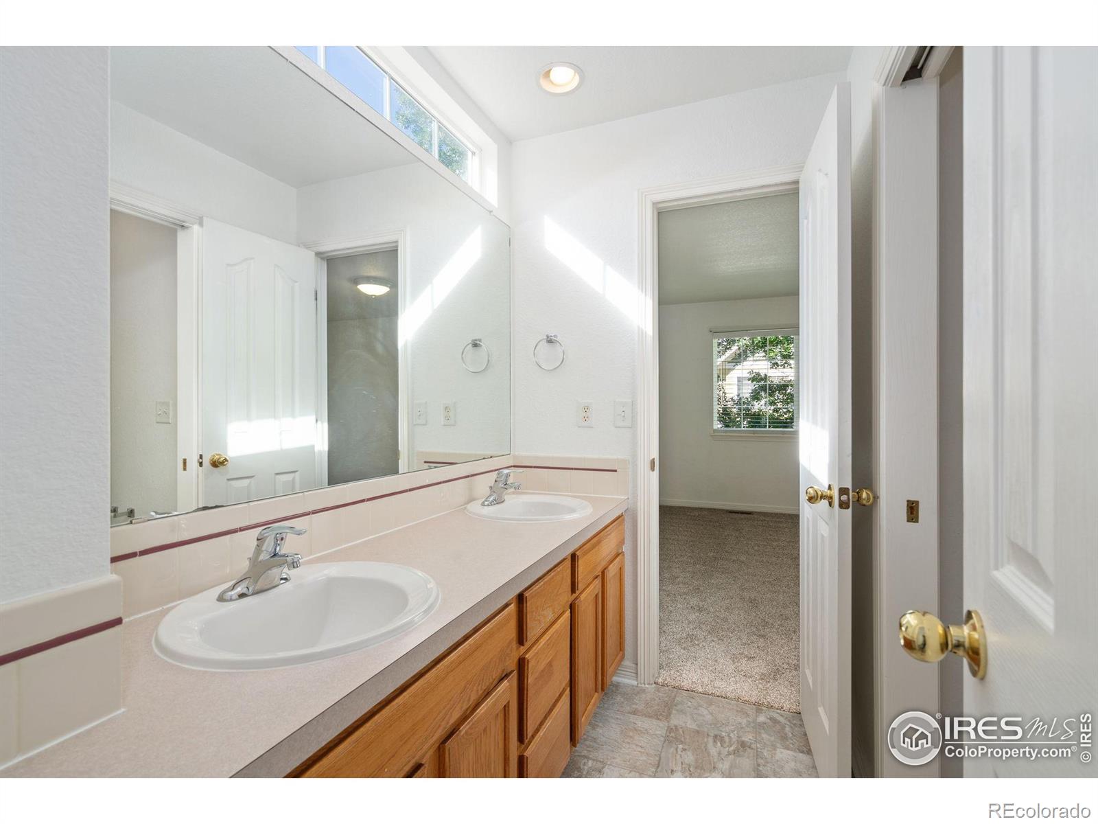 MLS Image #19 for 1014  andrews peak drive,fort collins, Colorado