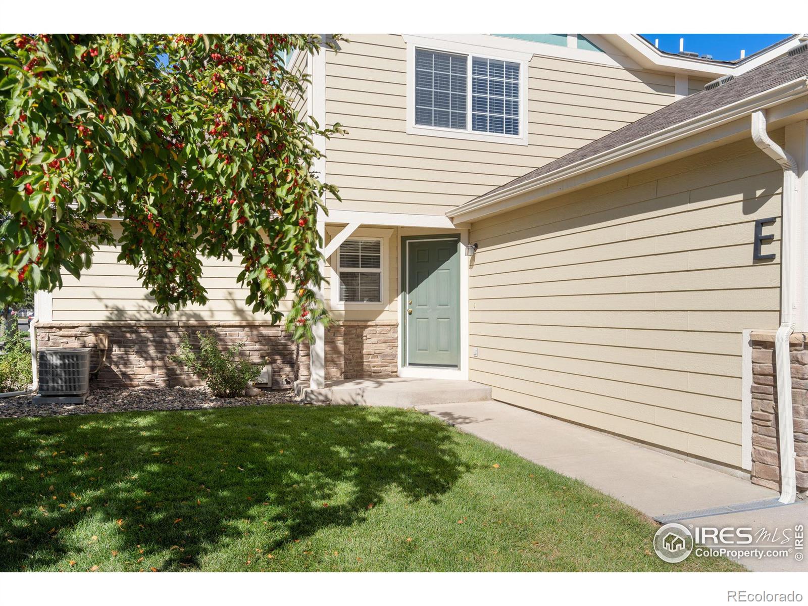 MLS Image #22 for 1014  andrews peak drive,fort collins, Colorado