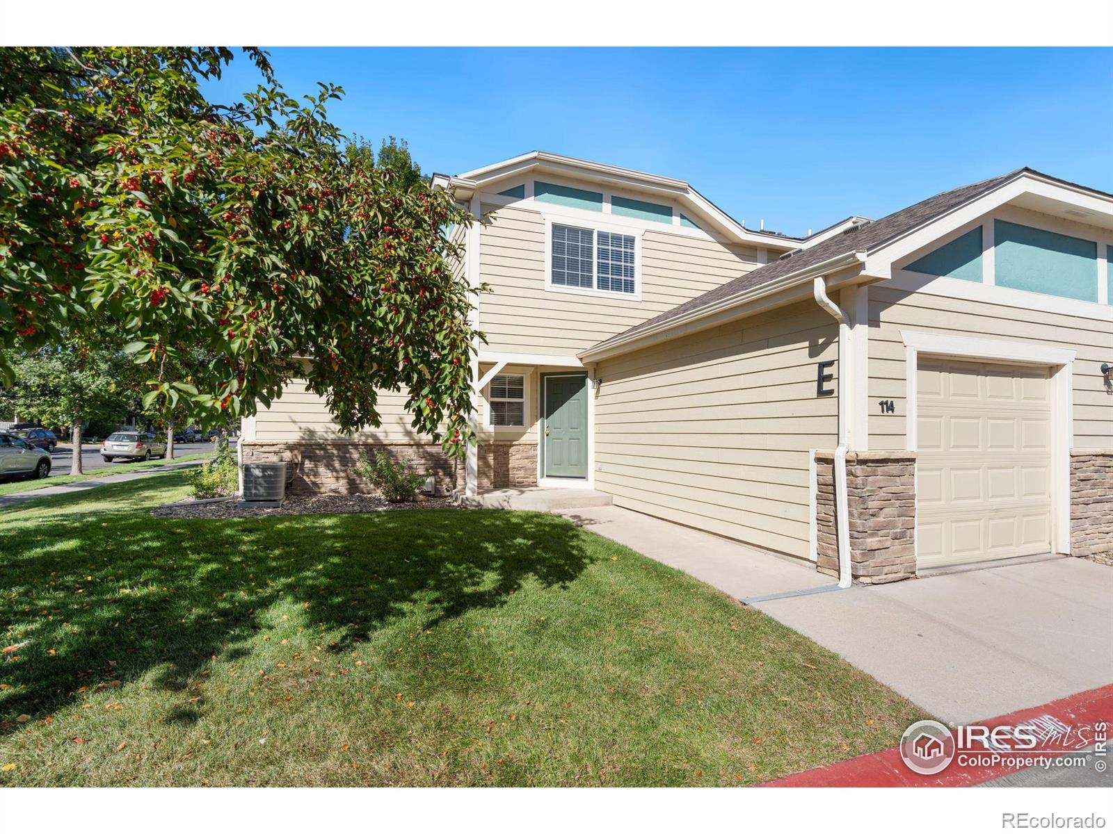 MLS Image #23 for 1014  andrews peak drive,fort collins, Colorado