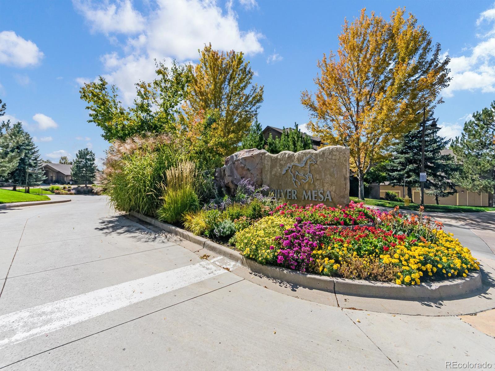 MLS Image #36 for 6432  silver mesa drive,highlands ranch, Colorado