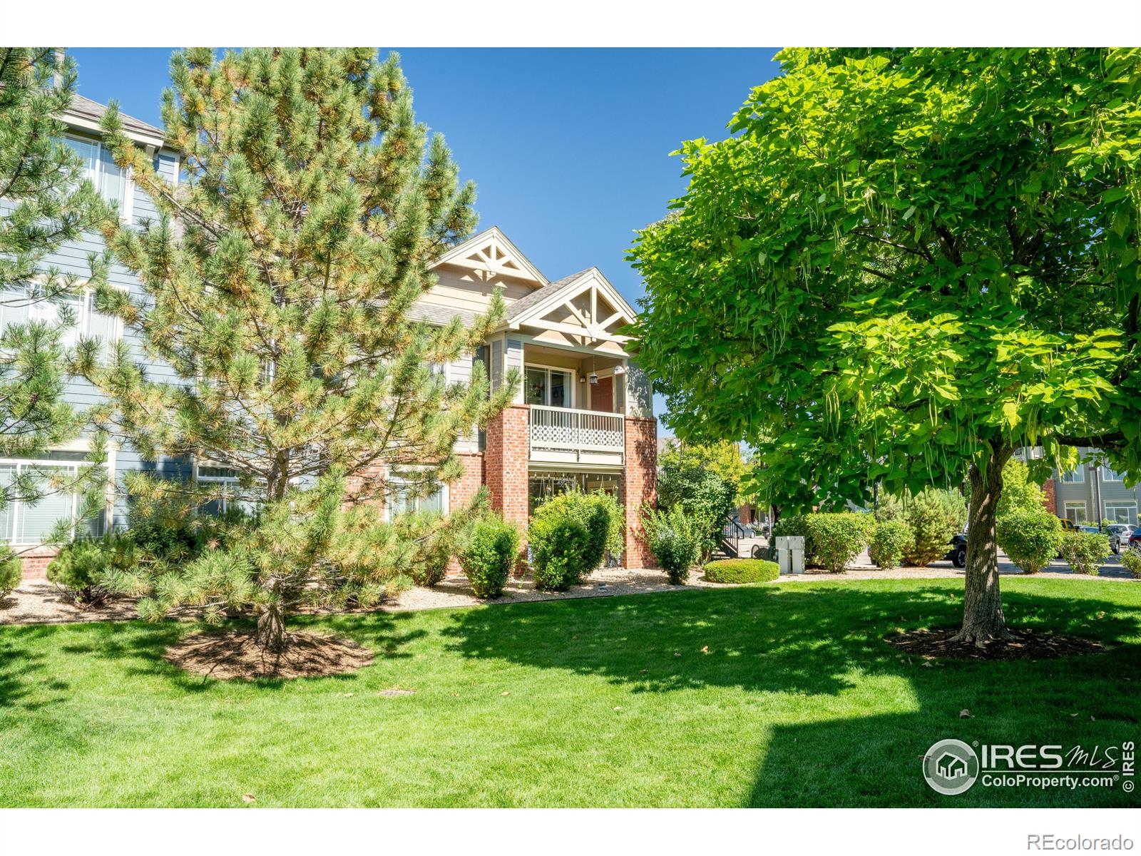 MLS Image #32 for 804  summer hawk drive,longmont, Colorado