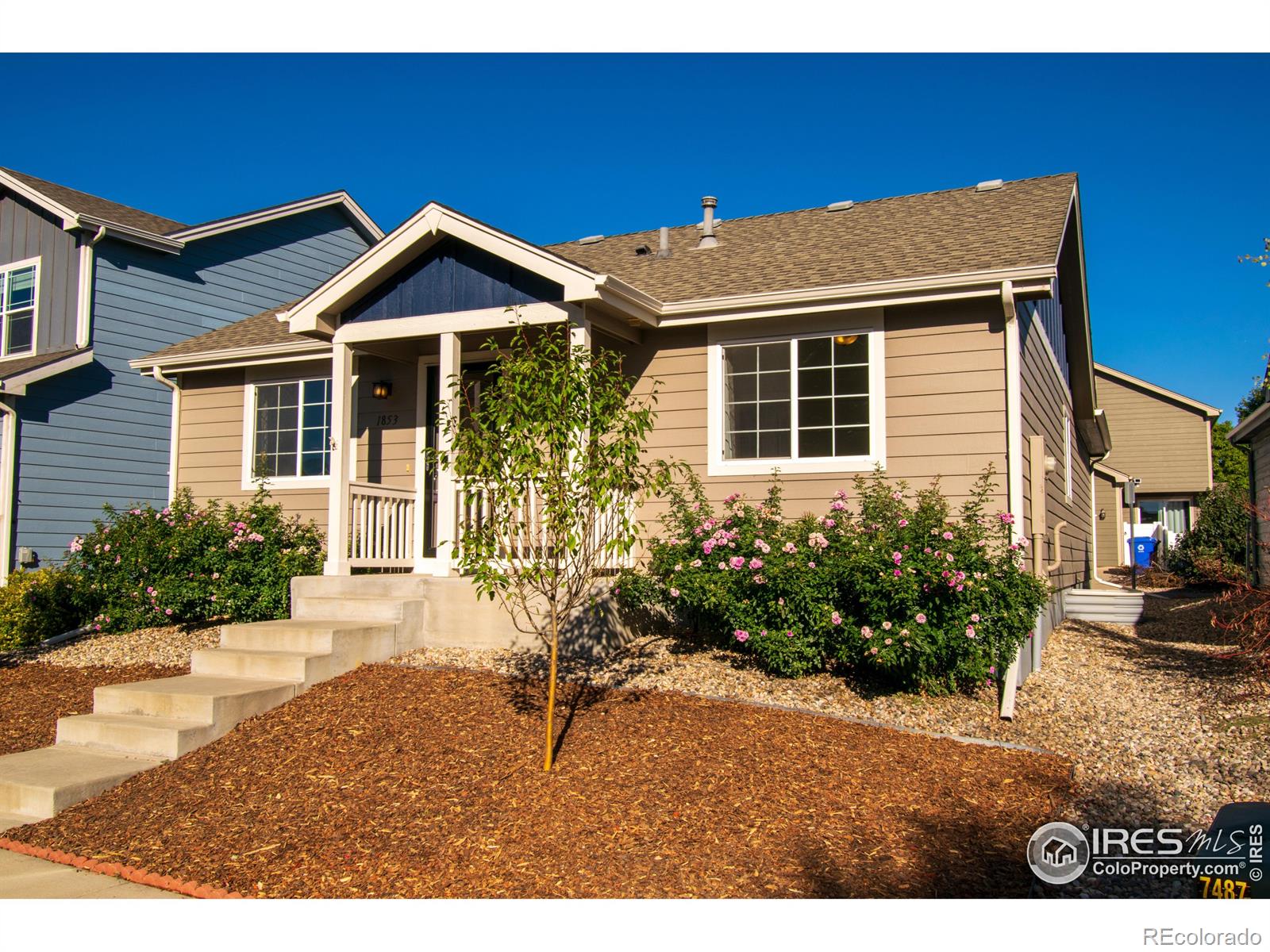 MLS Image #31 for 1853  sagittarius drive,loveland, Colorado