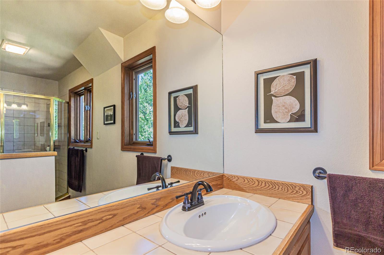 MLS Image #19 for 3887  spruce road,woodland park, Colorado