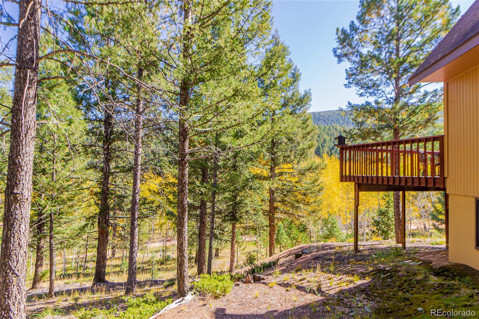 MLS Image #28 for 3887  spruce road,woodland park, Colorado