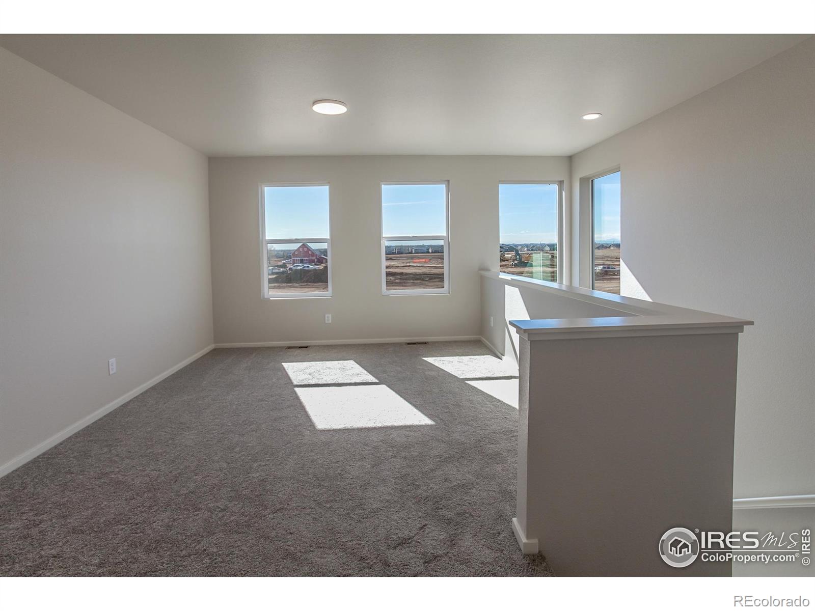 MLS Image #19 for 6070  saddle horn drive,timnath, Colorado