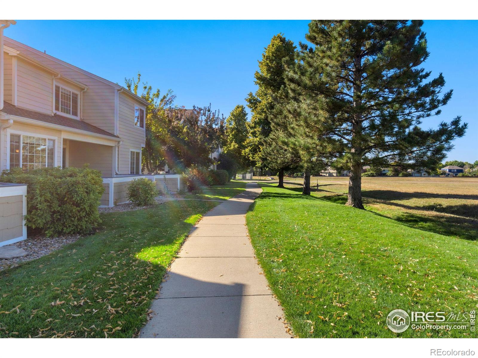 MLS Image #36 for 2502  timberwood drive,fort collins, Colorado