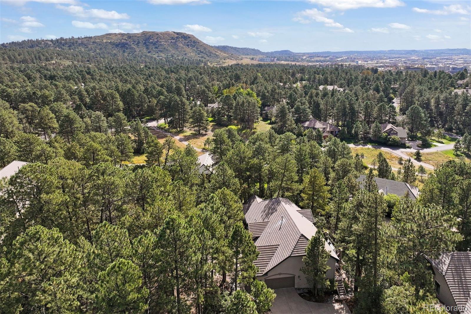 MLS Image #2 for 4506  silver wing court,castle rock, Colorado