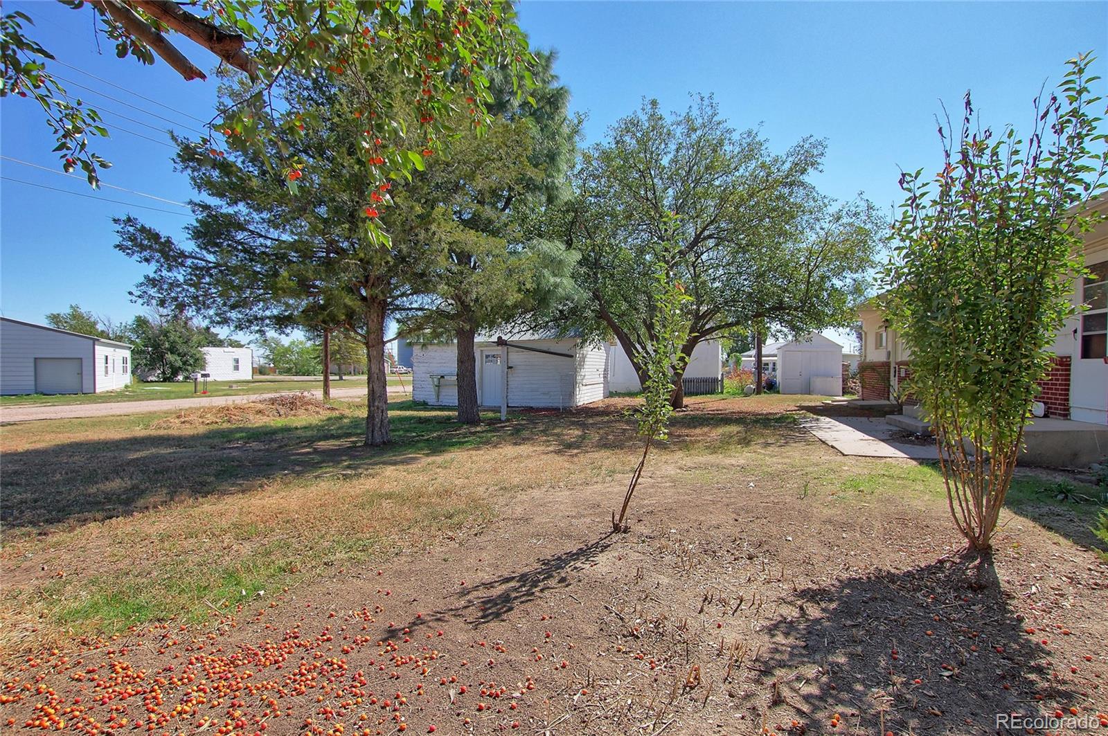 MLS Image #33 for 208  elm street,arriba, Colorado