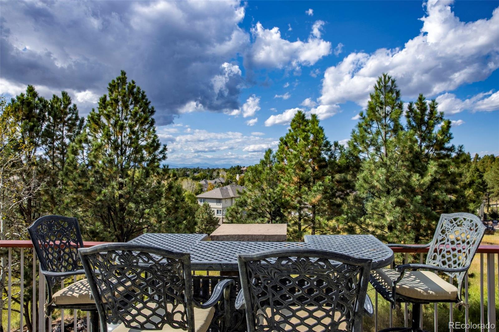 MLS Image #38 for 5257  horned owl way,parker, Colorado