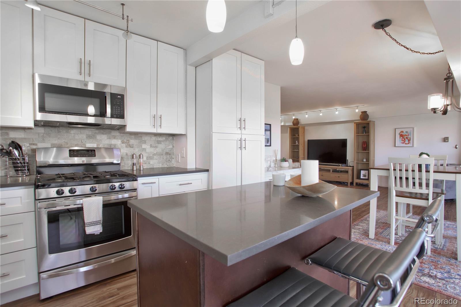 MLS Image #3 for 800 n washington street 1109,denver, Colorado