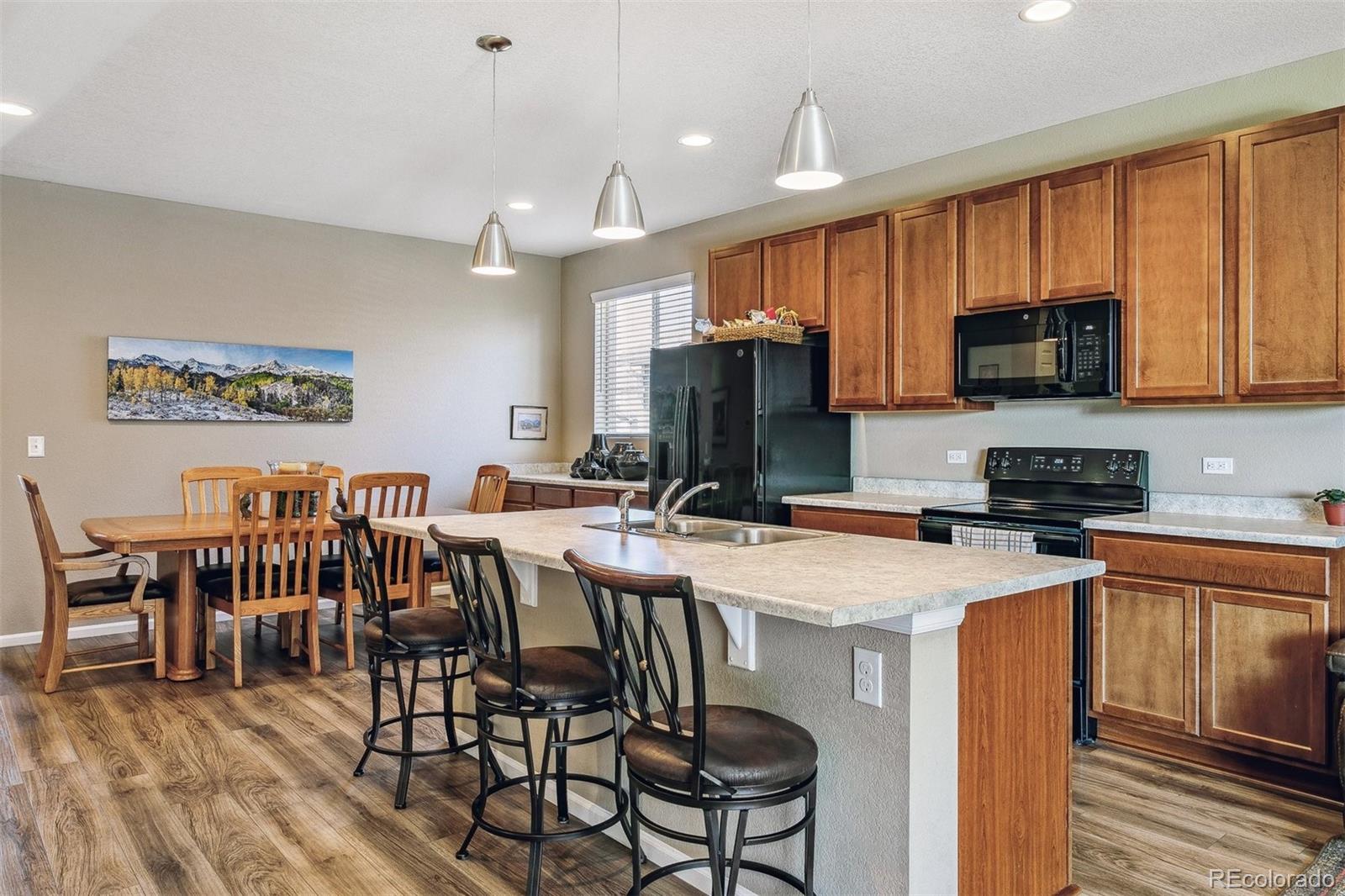 MLS Image #2 for 4760  native birch lane,castle rock, Colorado