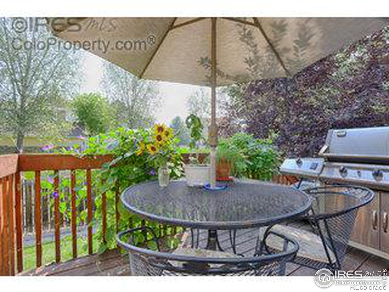 MLS Image #4 for 935  reynolds farm lane,longmont, Colorado