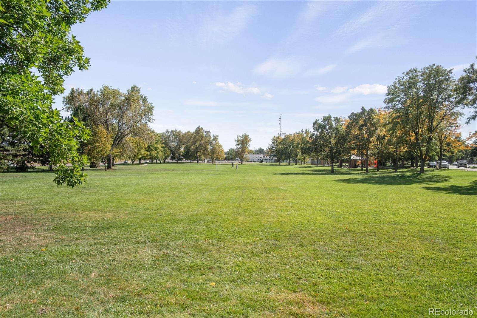 MLS Image #38 for 2040  newcombe drive,lakewood, Colorado