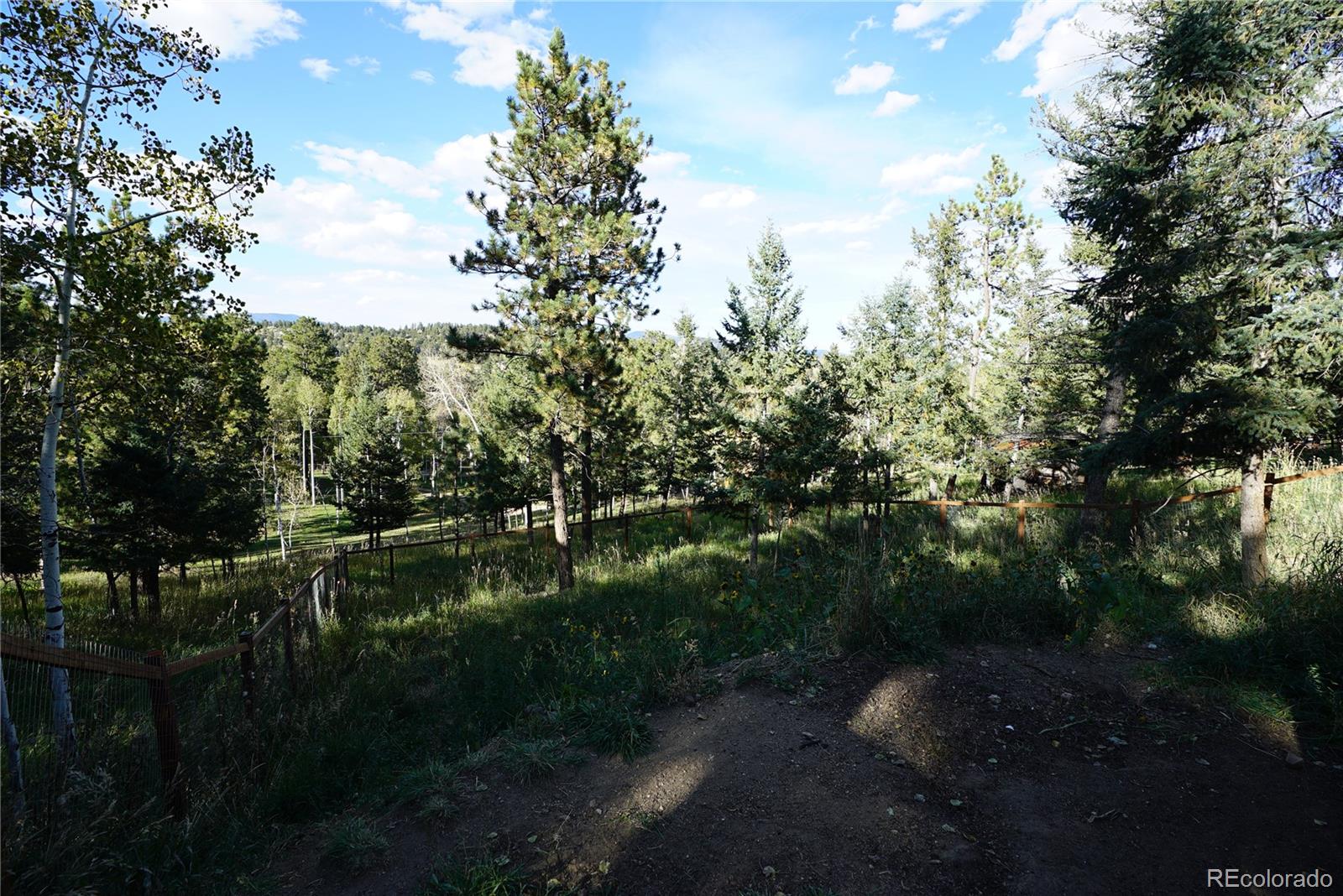 MLS Image #13 for 718  quakie way,bailey, Colorado