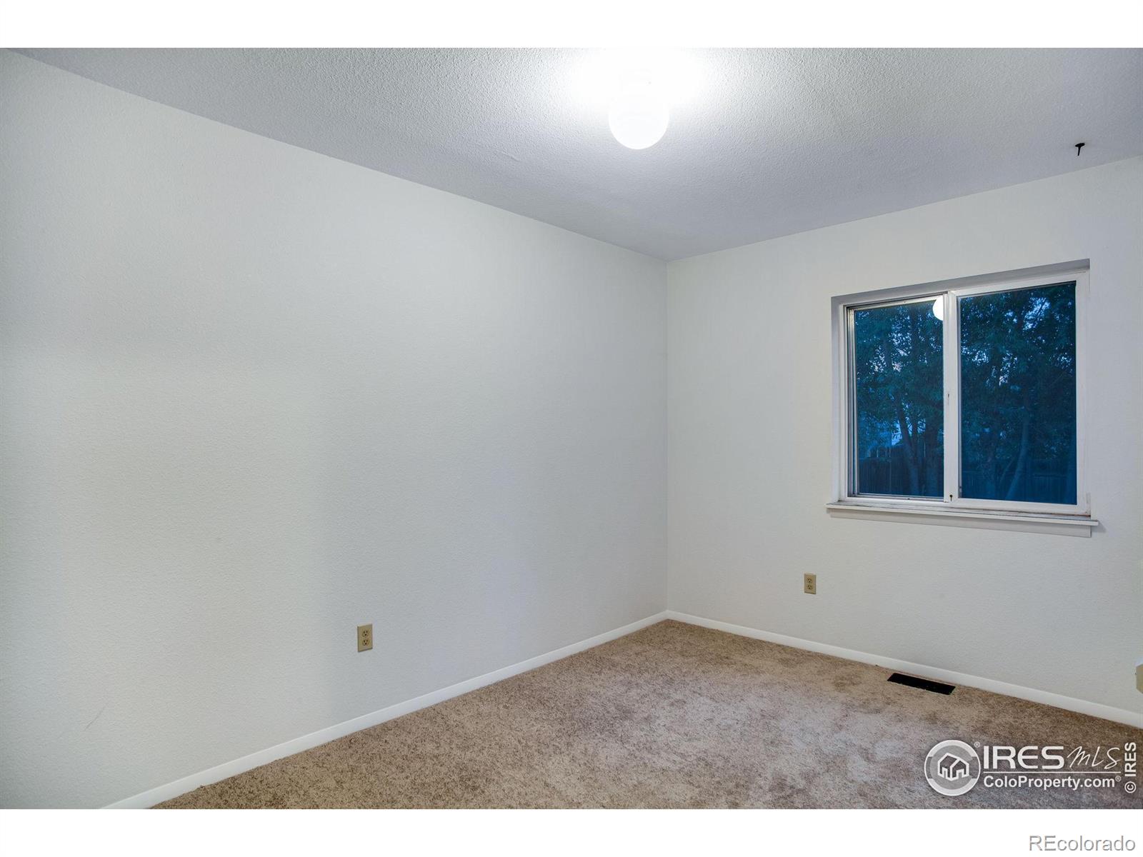 MLS Image #17 for 60  lodgepole drive,windsor, Colorado