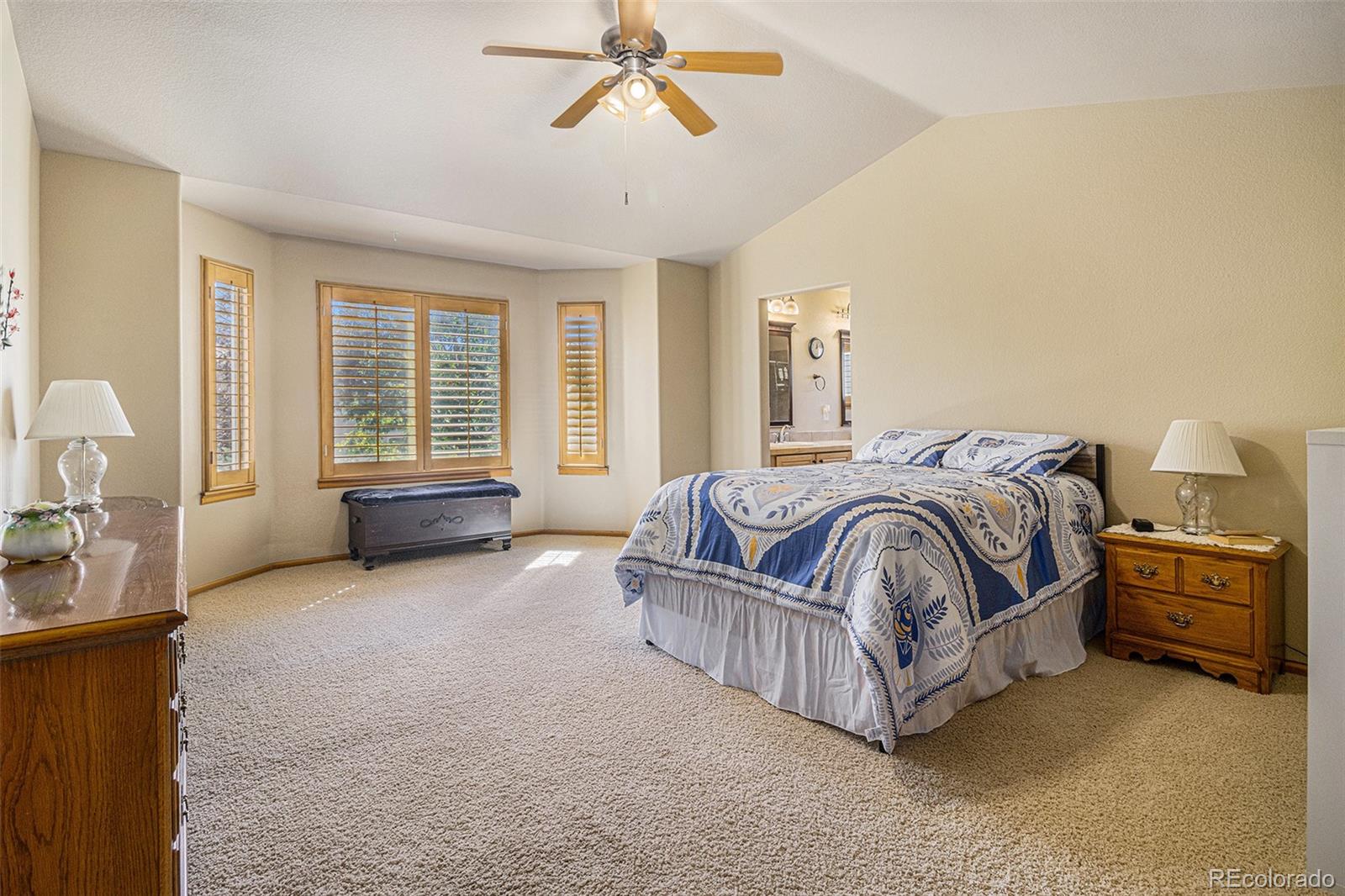 MLS Image #14 for 419  rose finch circle,highlands ranch, Colorado