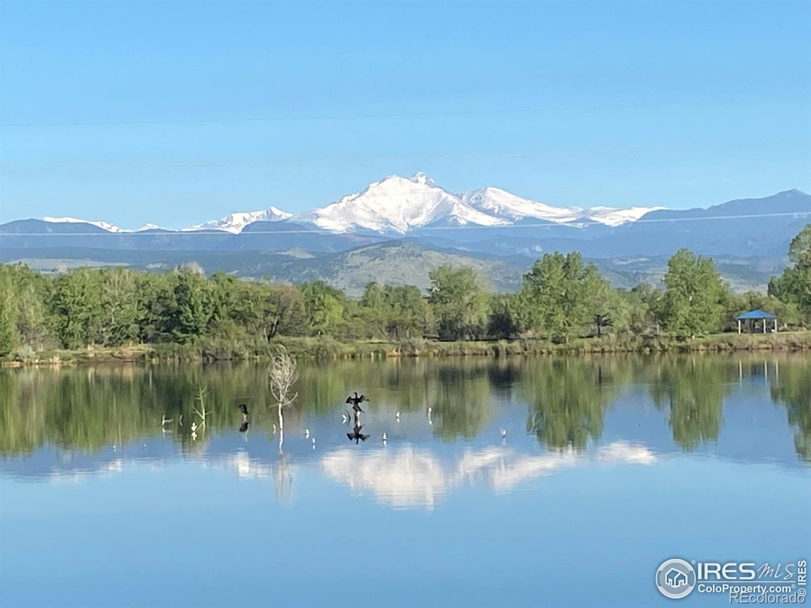 MLS Image #27 for 630  teal circle,longmont, Colorado