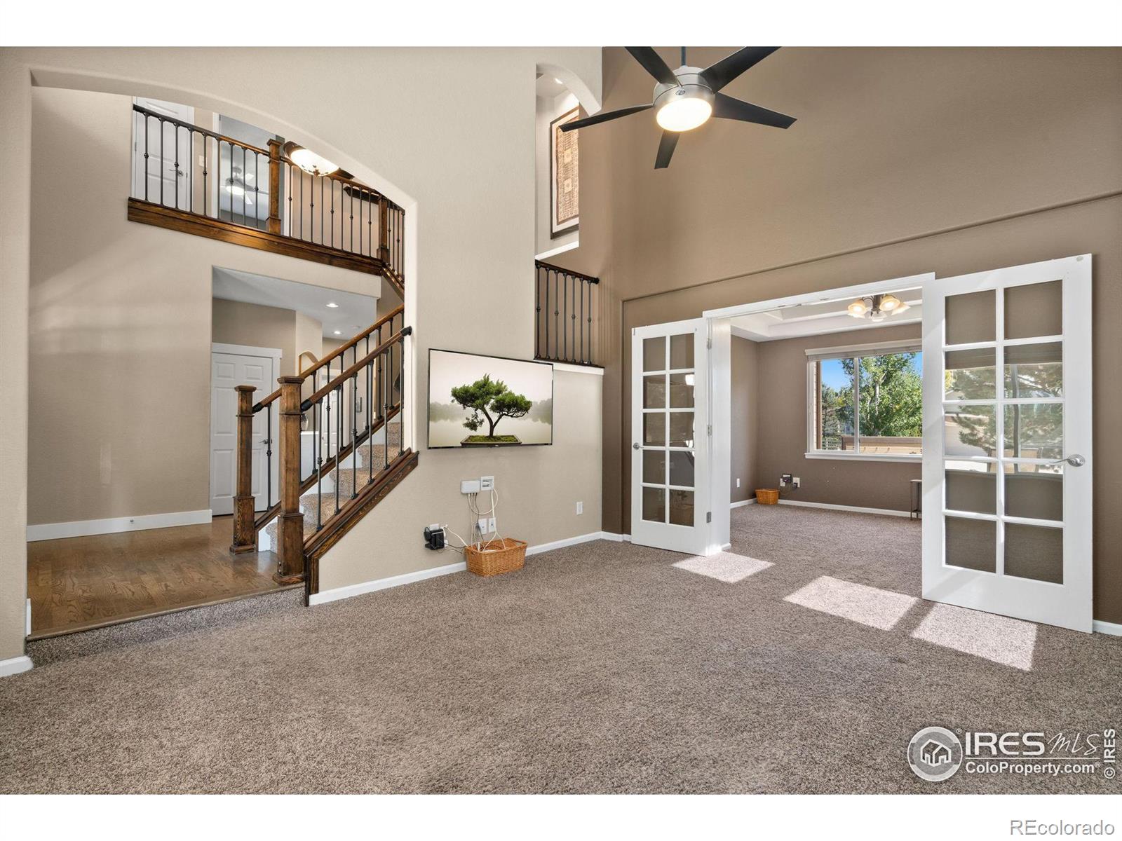 MLS Image #3 for 630  teal circle,longmont, Colorado