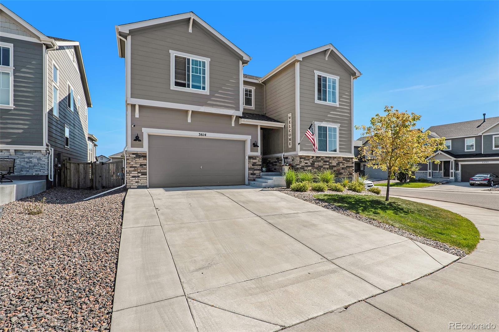 Report Image for 3614  White Rose Loop,Castle Rock, Colorado