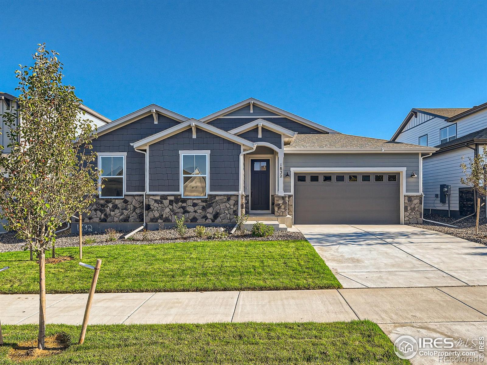 MLS Image #0 for 1832  golden sun drive,windsor, Colorado