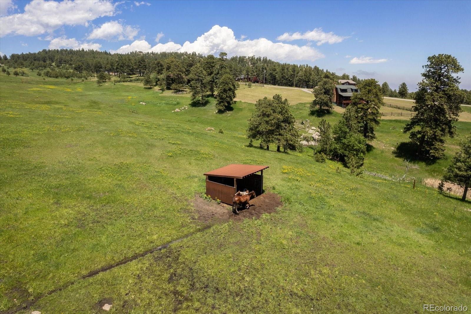 MLS Image #29 for 5276  bear mountain drive,evergreen, Colorado