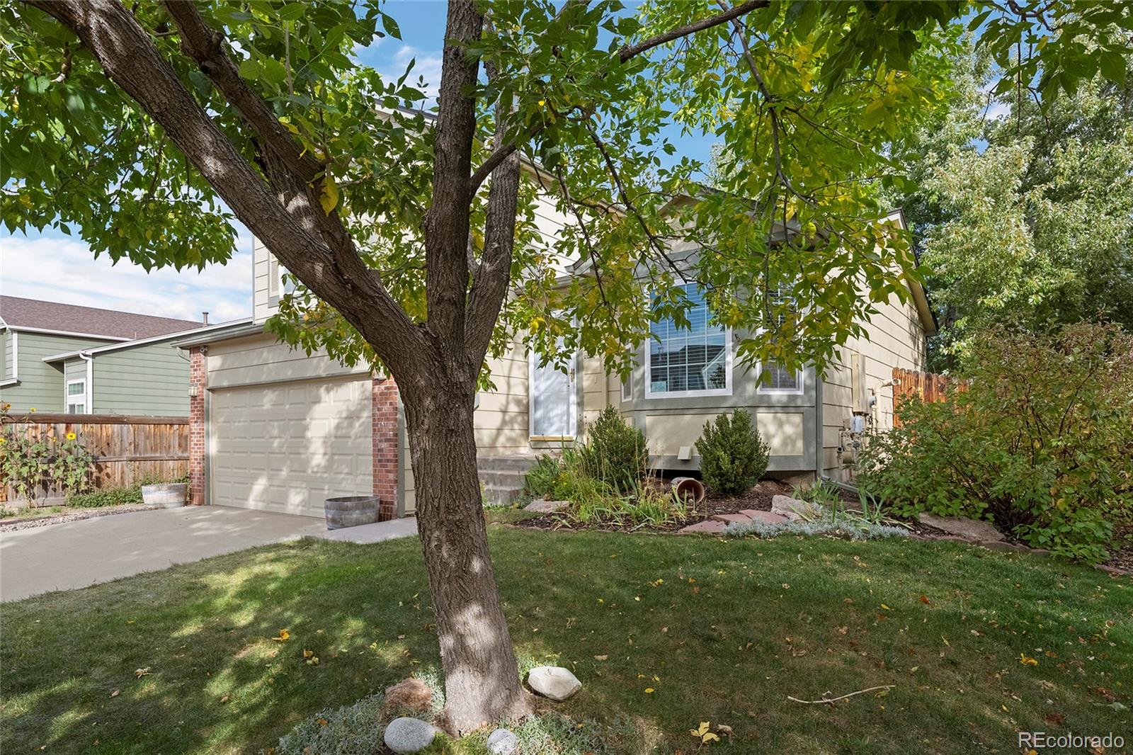 MLS Image #2 for 4571 e andover avenue,castle rock, Colorado