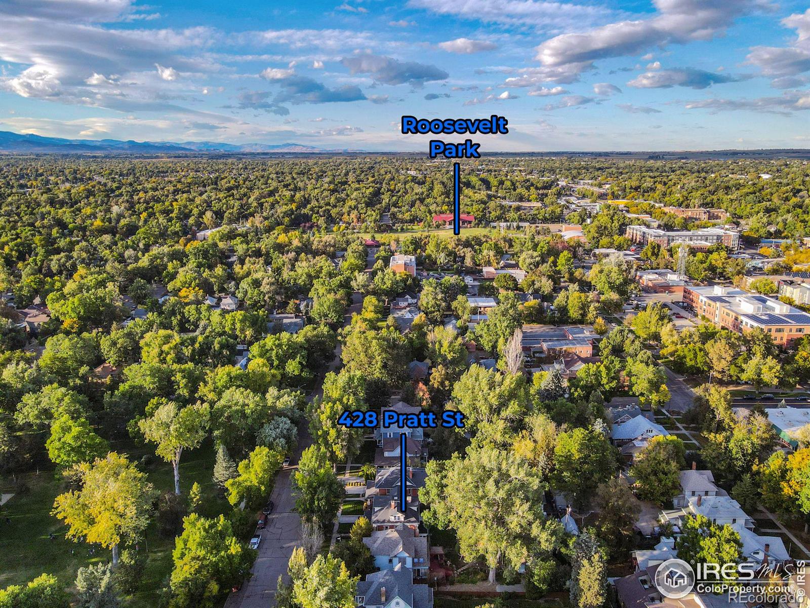 MLS Image #34 for 428  pratt street,longmont, Colorado