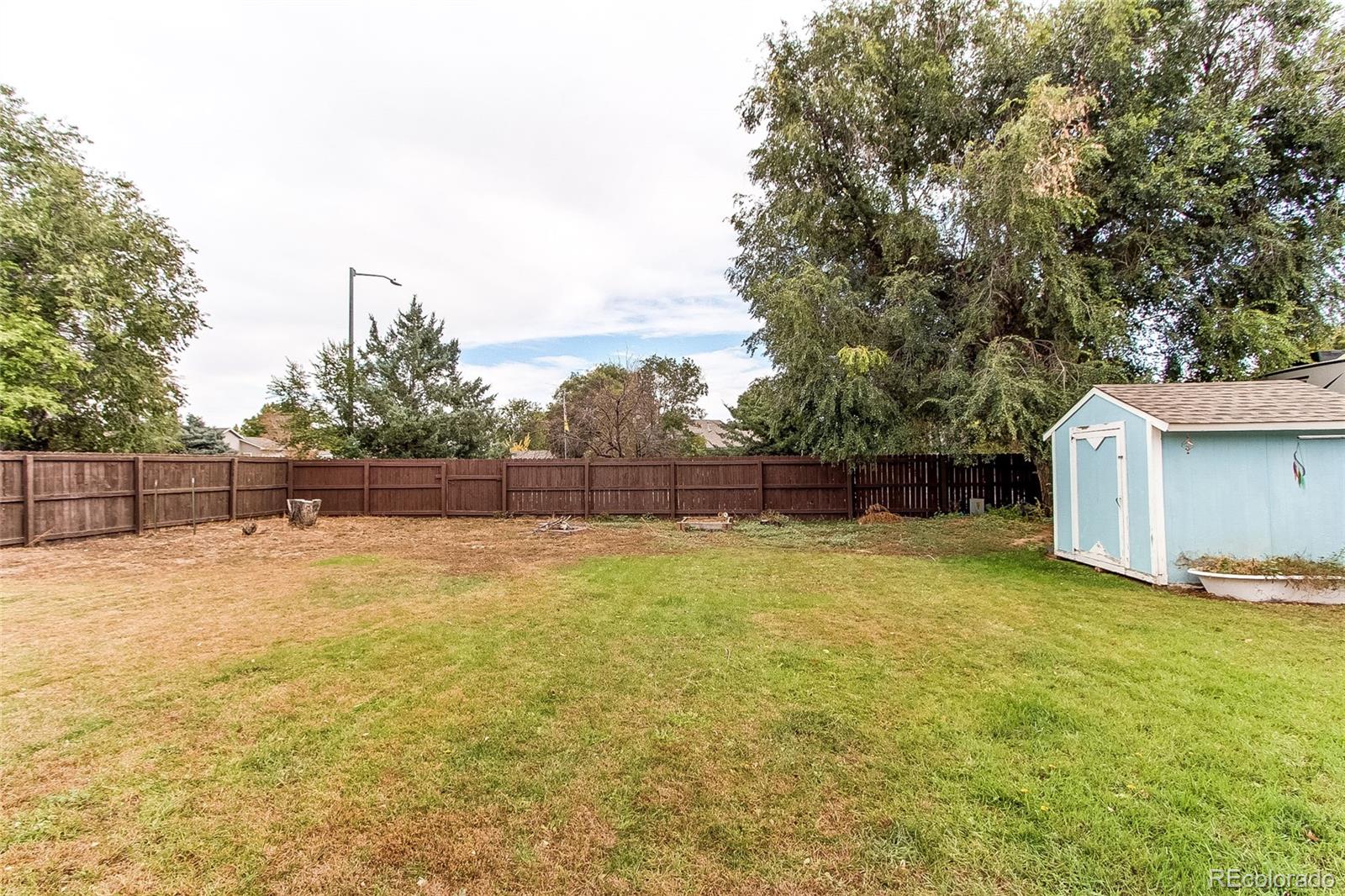 MLS Image #21 for 903  woodbine drive,windsor, Colorado