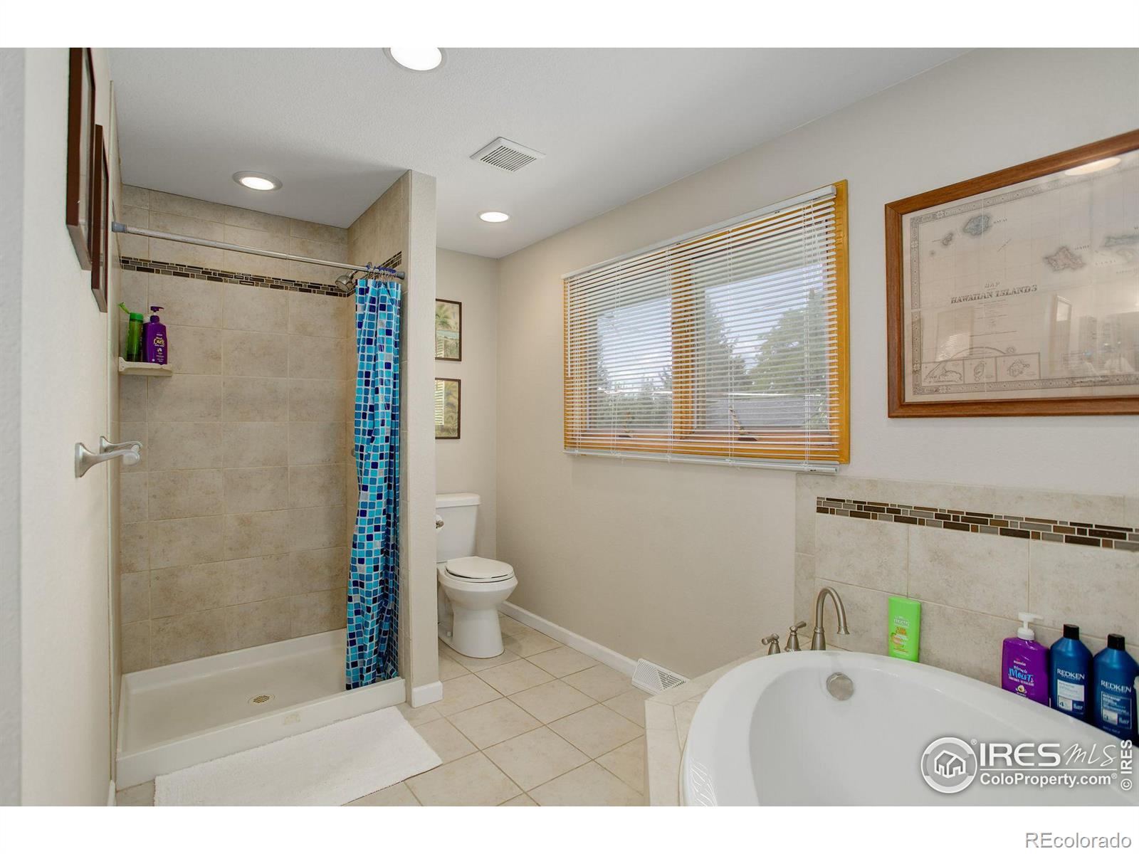 MLS Image #13 for 965  emerald street,broomfield, Colorado