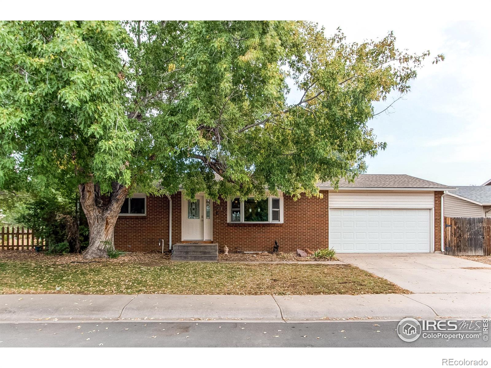 MLS Image #0 for 903  woodbine drive,windsor, Colorado