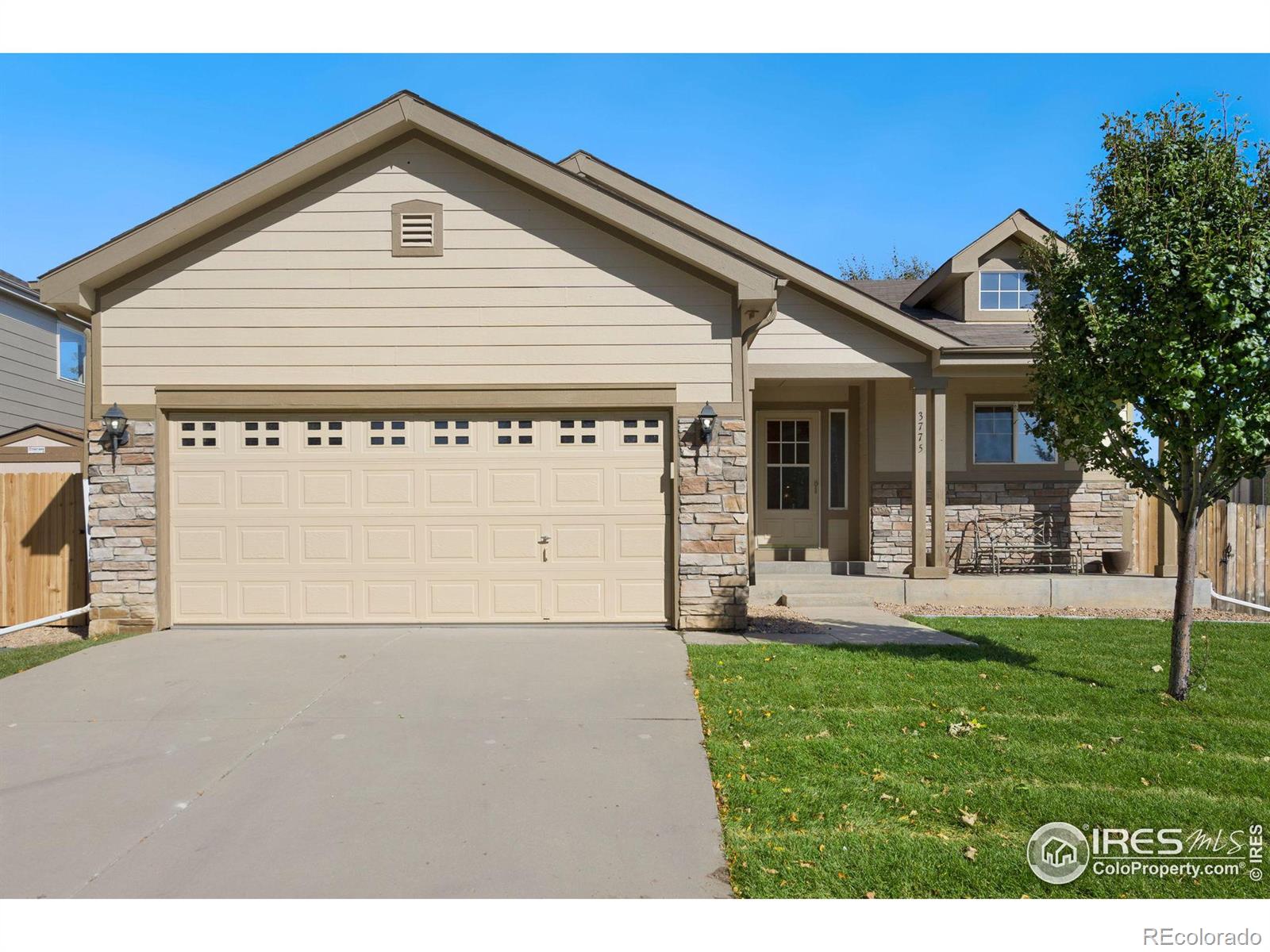 Report Image for 3775  Panther Drive,Loveland, Colorado