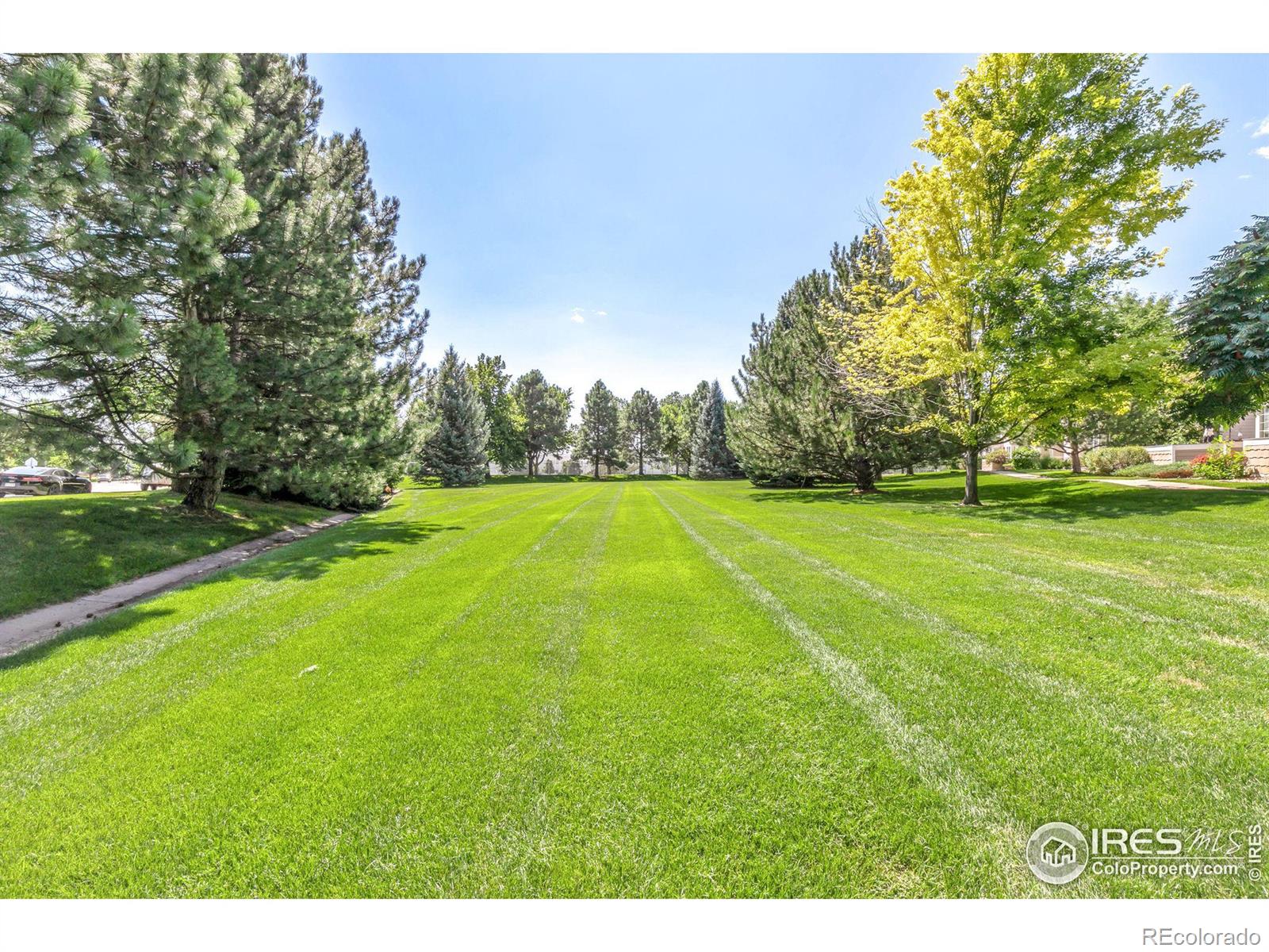 MLS Image #22 for 2602  timberwood drive,fort collins, Colorado