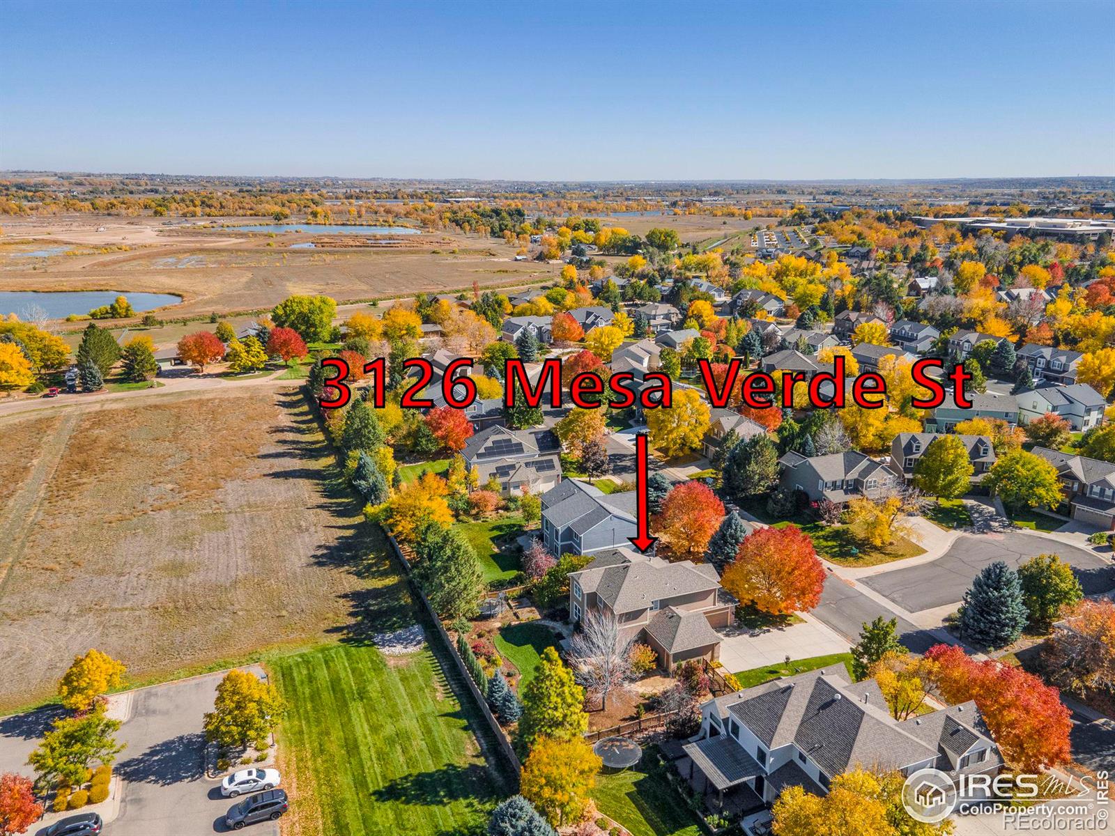 MLS Image #36 for 3126  mesa verde street,fort collins, Colorado