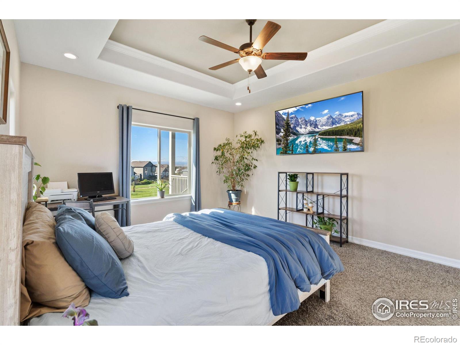 MLS Image #14 for 5531  teeling court,timnath, Colorado