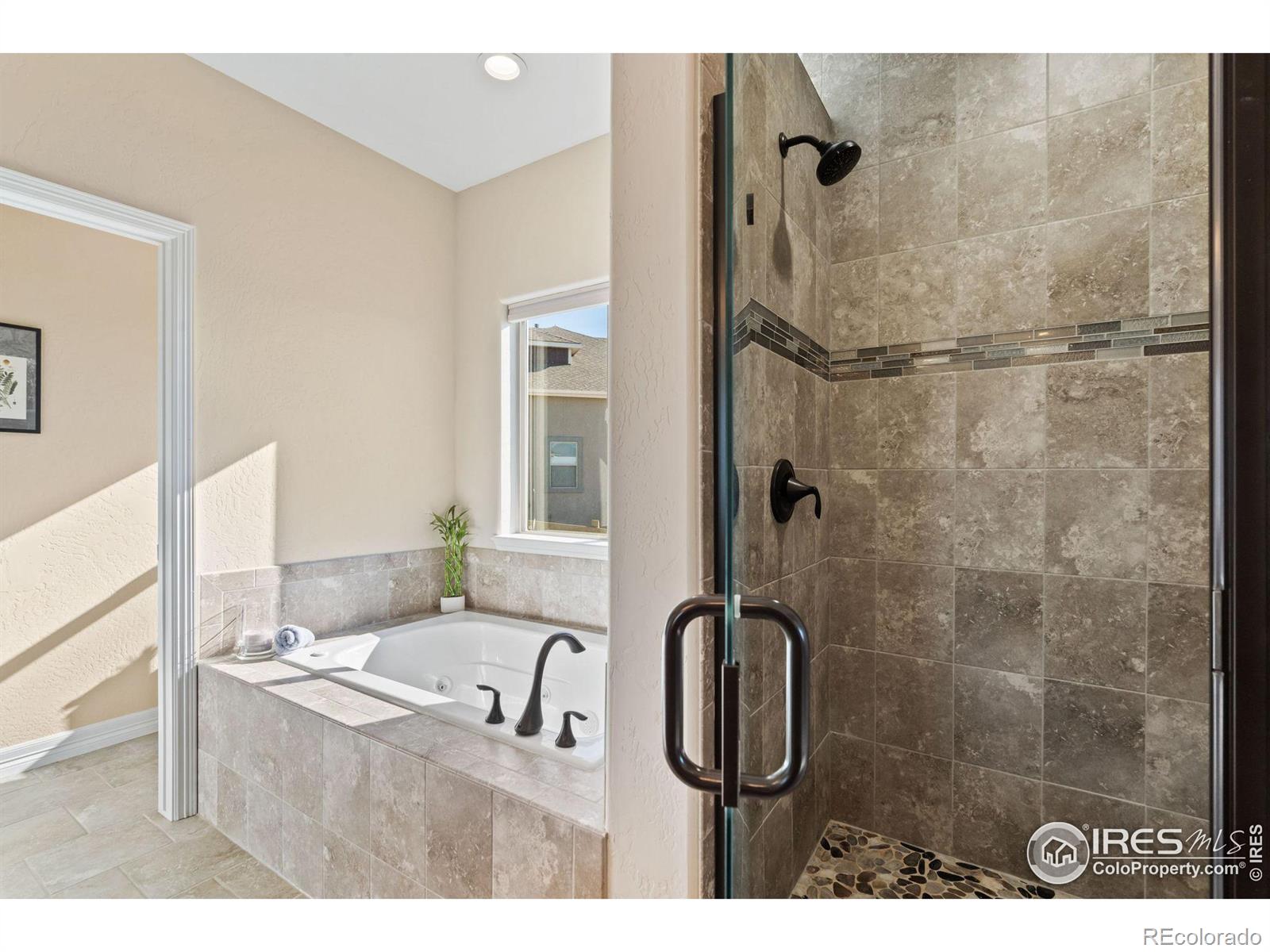 MLS Image #16 for 5531  teeling court,timnath, Colorado