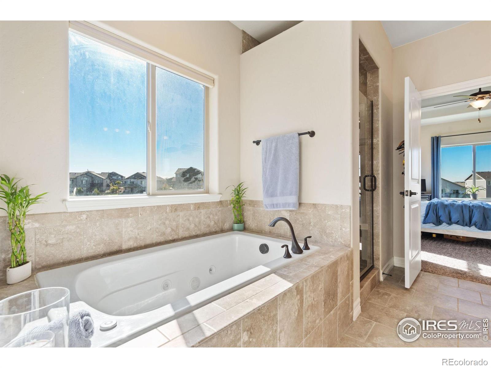 MLS Image #17 for 5531  teeling court,timnath, Colorado