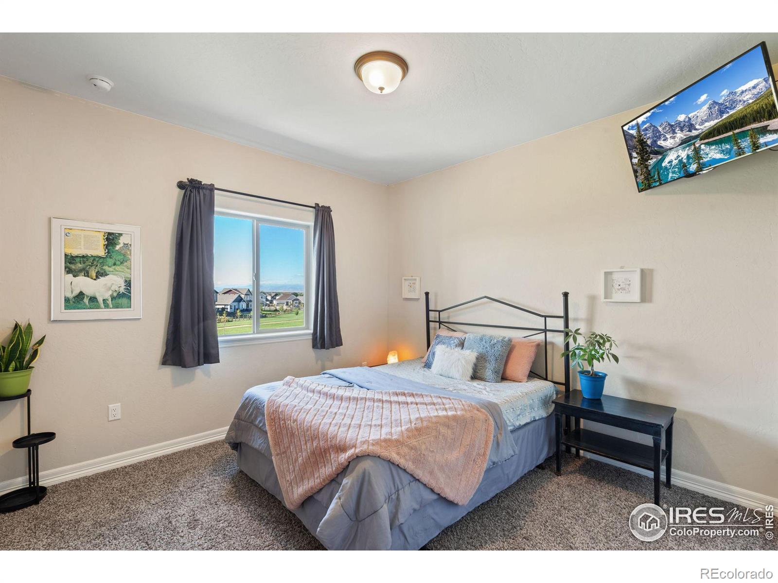 MLS Image #24 for 5531  teeling court,timnath, Colorado