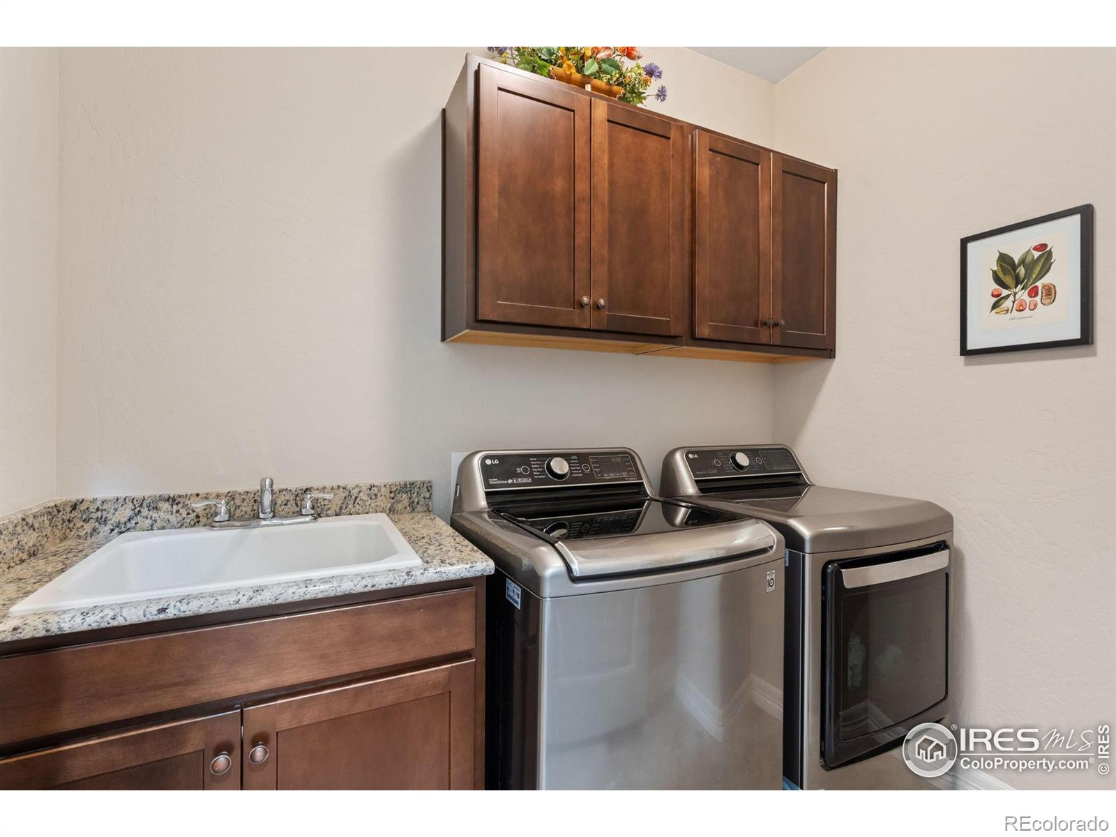 MLS Image #26 for 5531  teeling court,timnath, Colorado