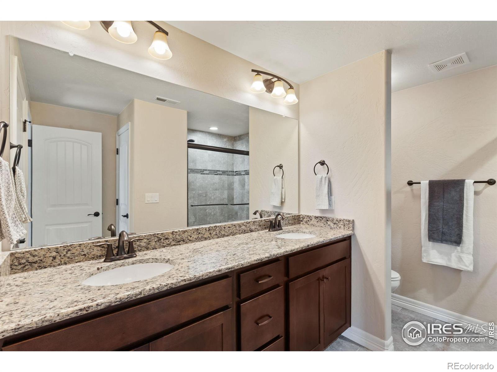 MLS Image #32 for 5531  teeling court,timnath, Colorado